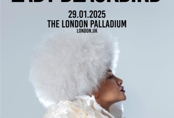 Lady Blackbird Palladium